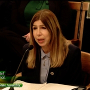 Foto de cuando La Fiscal de Distrito del Condado de San Diego, Summer Stephan, testificó esta mañana ante el Comité de Seguridad Pública de la Asamblea del Estado de California en Sacramento, instando a los legisladores a aprobar el Proyecto de Ley de la Asamblea 1959.