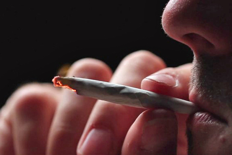 Fiscalía Reduce Delitos Por Marihuana